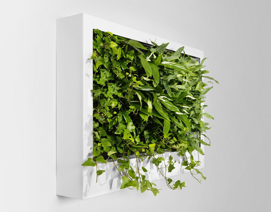 Portable Green Wall Design Ideas Interior Design Ideas