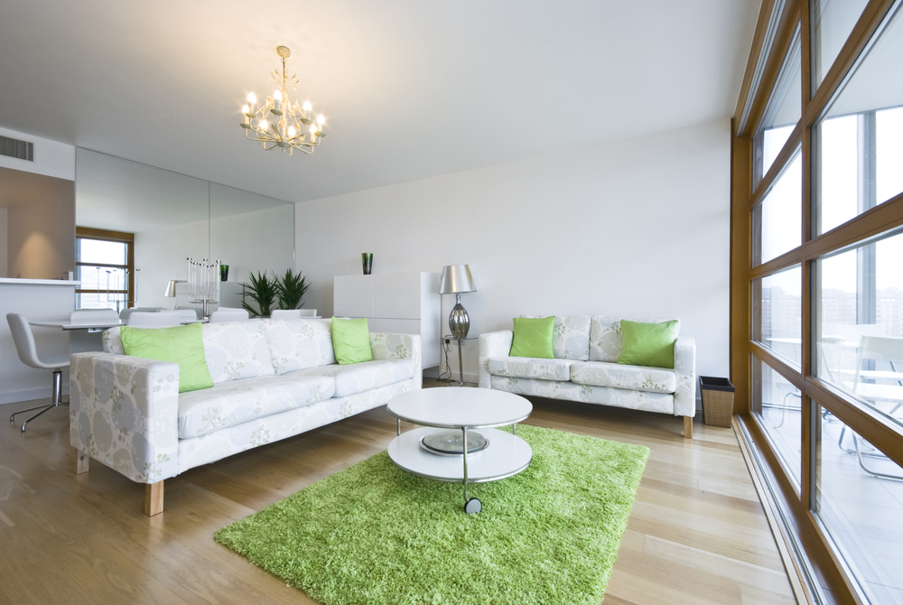 green rug in living room
