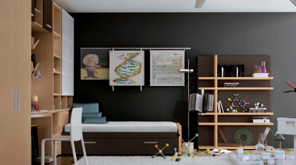 Genius Kids Room with Einstein Poster