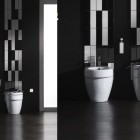 Modern Black American Style Modern Toilets