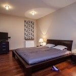 Modern bedroom with wood floor